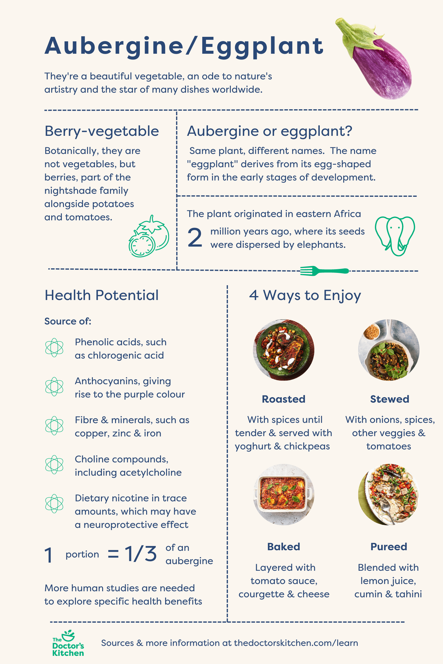 Aubergine/Eggplant Ways to enjoy & health benefits — The Doctors Kitchen